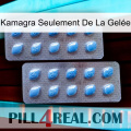 Kamagra Seulement De La Gelée viagra4